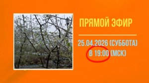 Анонсы эфира 25.04.2026