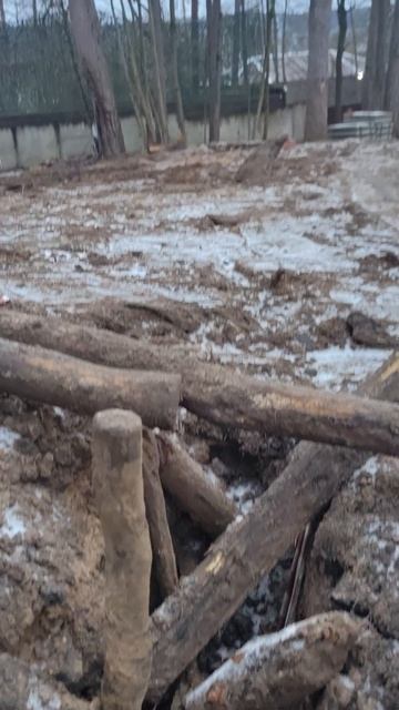 VID_20251218_092857.mp4