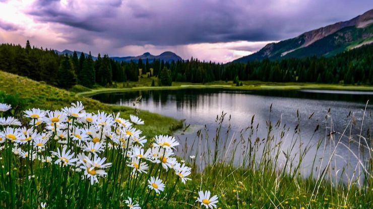 Коран на русском языке сура 025. Различение ( Аль-Фуркъан )