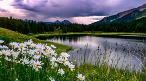 Коран на русском языке сура 025. Различение ( Аль-Фуркъан )