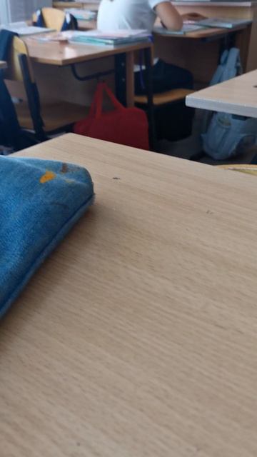 VID_20251014_131857.mp4