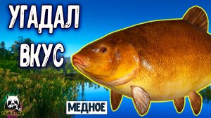 Rf4 угадал их вкус и вот что из этого получилось #рр4