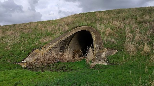 мост 100 +лет