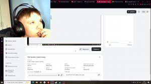 играю в майн и выношу врагов