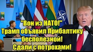 Вон из НАТО! Трамп объявил Прибалтику бесполезной! Сдали с потрохами!