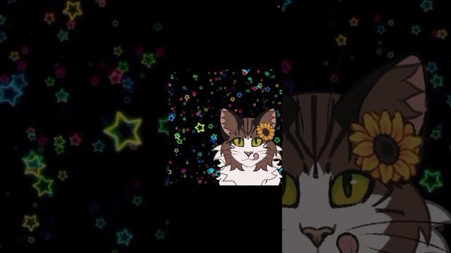 Реакция на Милашку Лапку кв