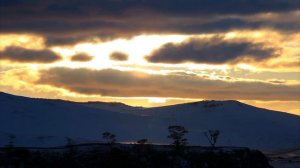 Окситоцин,-"Гормон любви","гормон привязанности"