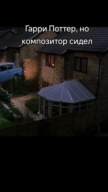 #гаррипоттер #мем