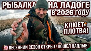 Рыбалка на Ладоге в 2026 году. Клюет плотва. Весенний сезон открыт, пошёл наплыв