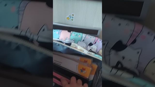 Мой  портфель