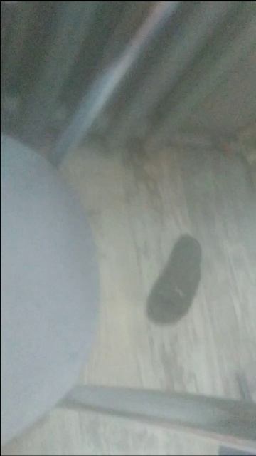 Первое видео про хомячка Джуня