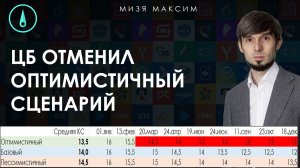 Решение ЦБ угрожает переходом к дефляции в экономике. ЦБ принял политическое решение.