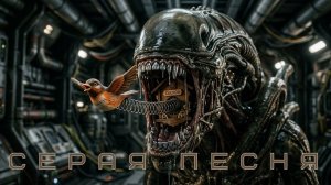 Серая песня