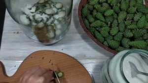 Лечебный сироп из шишек сосны.