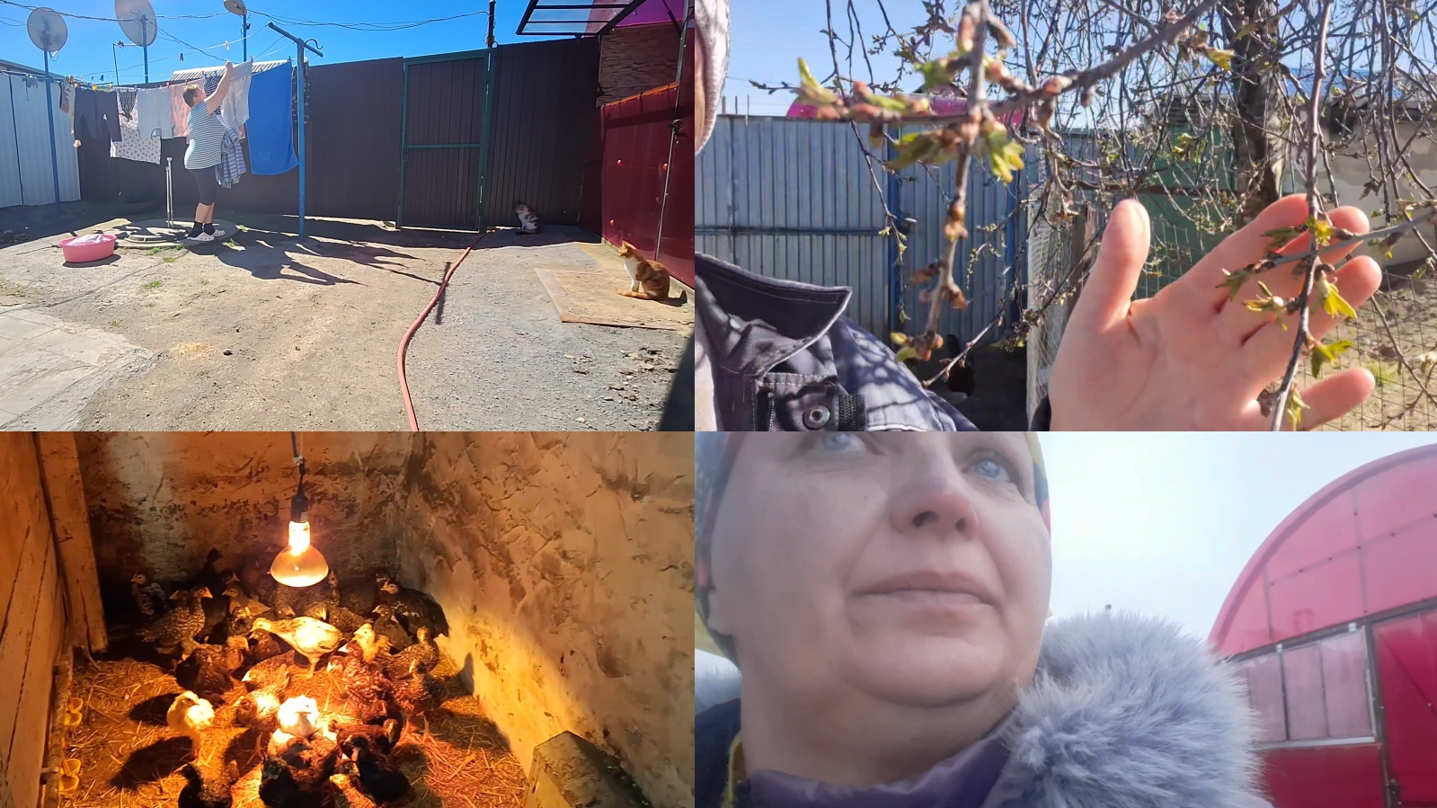 О жизни деревенской