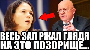 ПРЯМО НА ЗАСЕДАНИИ ООН! Провокация Бербок и ДЕРЗКИЙ ОТВЕТ Небензя Порвал Сеть!