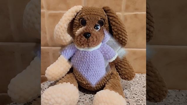 video20260425_143219