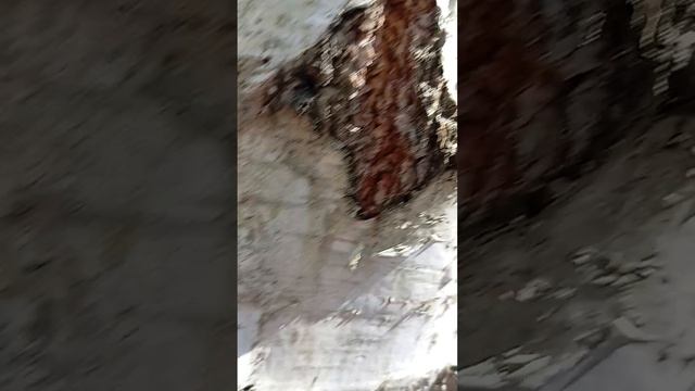 вызоащаю базу за 1 месяц