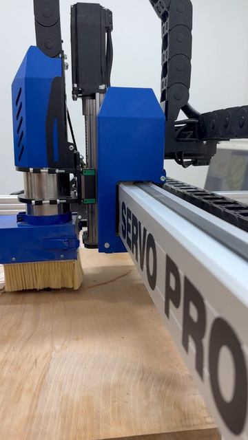 11.02.2026 Тыквы2025