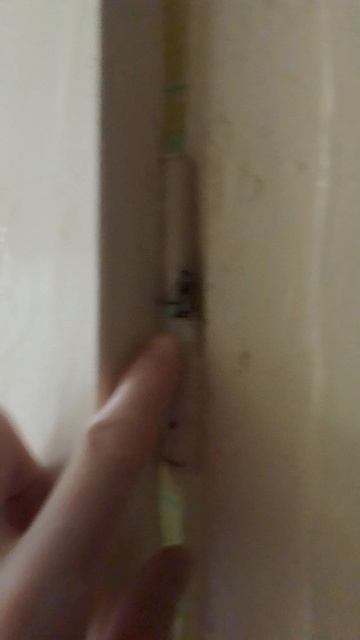 25-04-2026 снял кухонную дверь