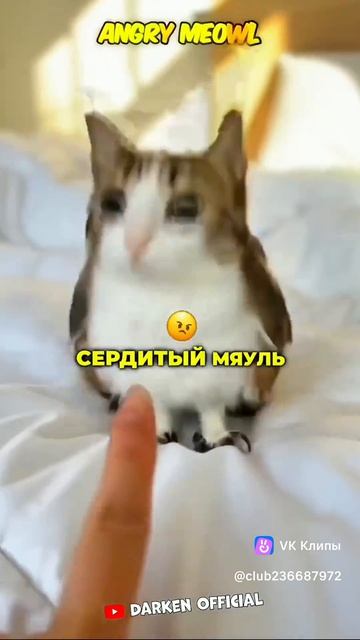 подпишись