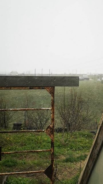 Волгоград 24 апреля снег град