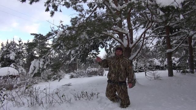 С Новым 2025 годом!