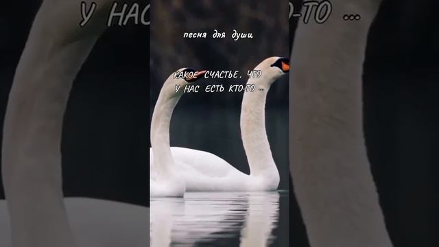 Какое счастье, что у Нас есть кто-то...