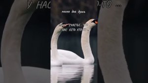 Какое счастье, что у Нас есть кто-то...