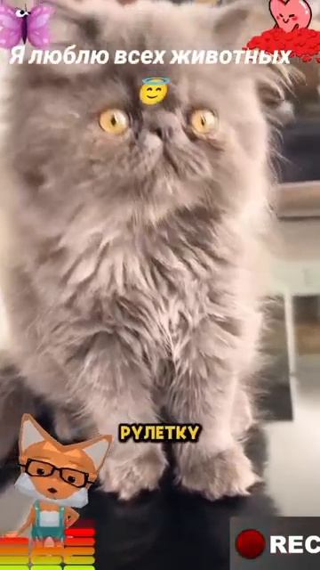 Животные-приколы и не только😉😅