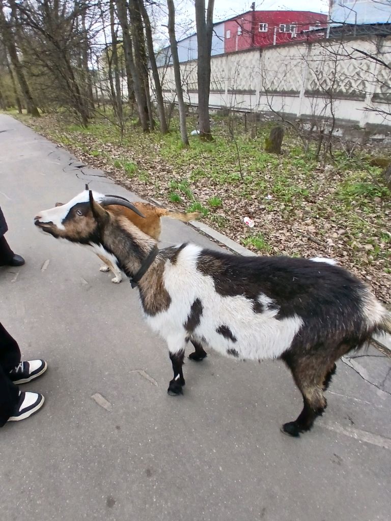 ᴨоᴦоʙоᴩи ᴄо ʍной