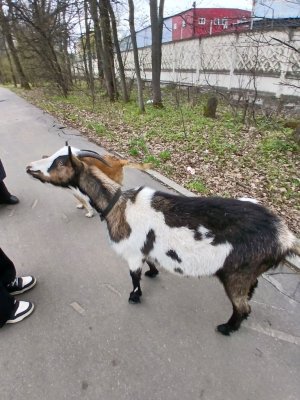 ᴨоᴦоʙоᴩи ᴄо ʍной