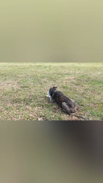 YouCut_20260422_122255229