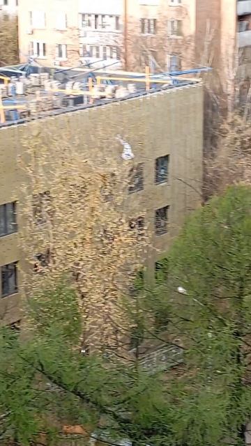 Конная полиция возвращается с дневного дозора (25.04.26.)
