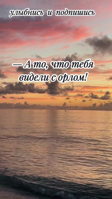 воробей - орел