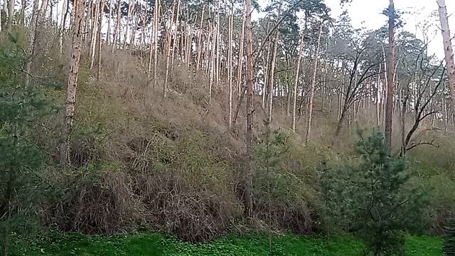 Кисловодск. Национальный парк. 25.04.2026 г.