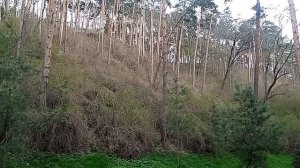 Кисловодск. Национальный парк. 25.04.2026 г.