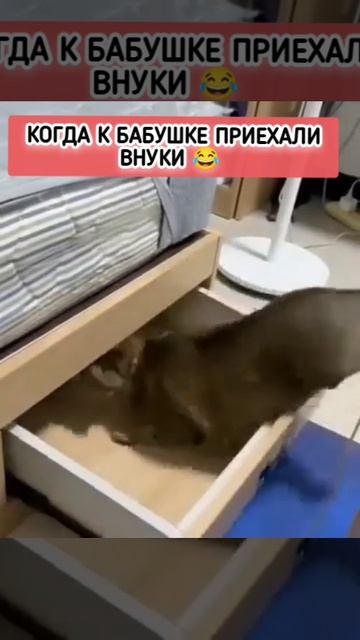 Заходи к нам в Макс 🤝