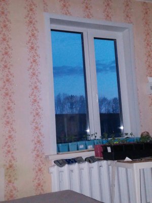 обозор шипишек