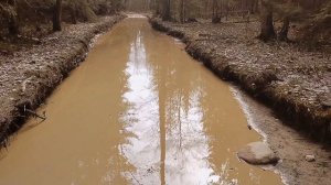 Обними, не отпускай /авторская песня/