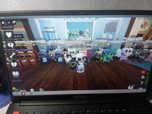 просто общение на канале показываю своих хомячков и делаю небольшую обзор на мою комнату