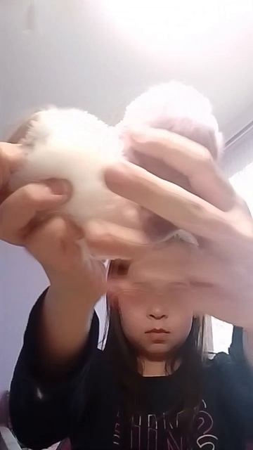 Новый милишок #Котошива#Монокотя#игрушкаручнойработы#смешаннаятехника#