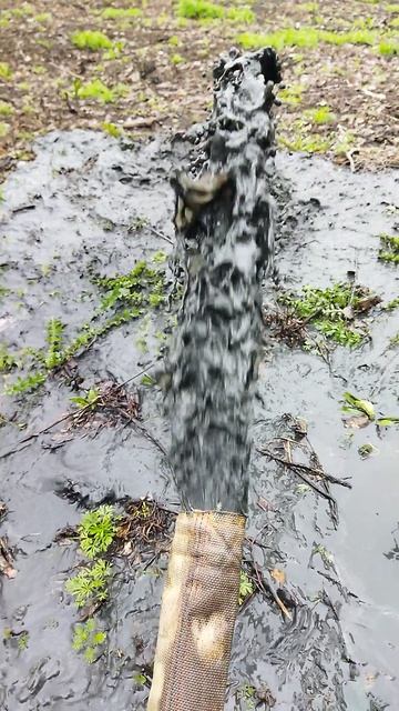 Вор обл Бобров теплицы