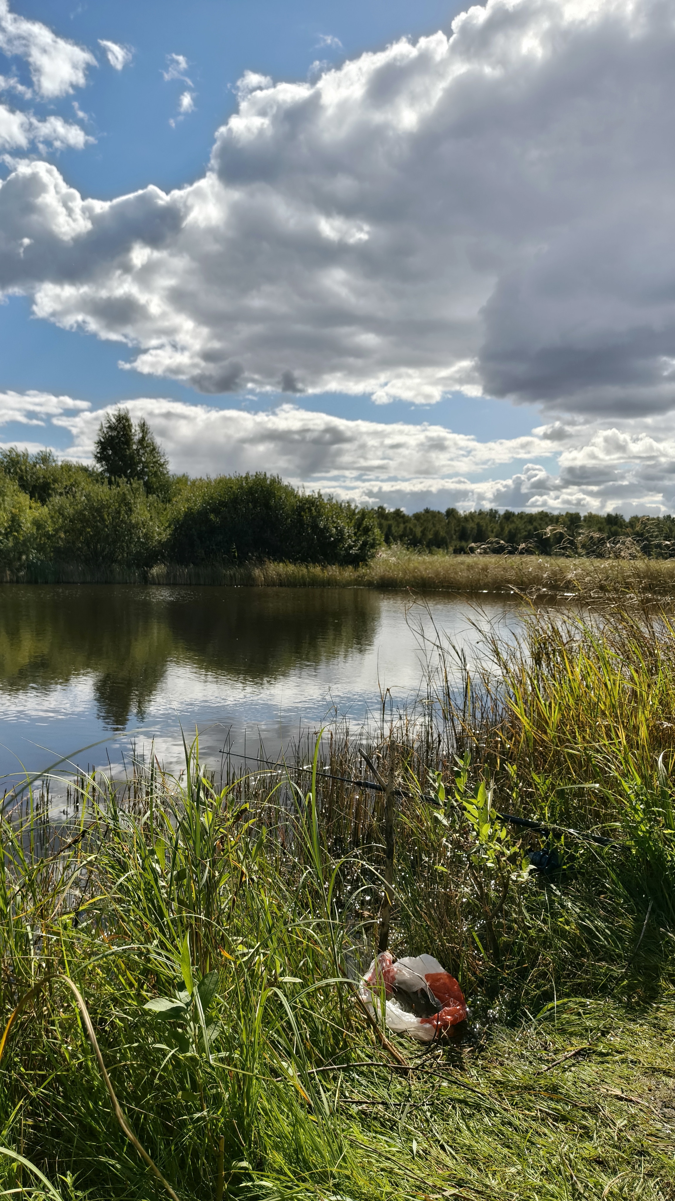 рыбалочка на ратона