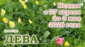 ДЕВА | ТАРО прогноз на неделю с 27 апреля по 3 мая 2026 года