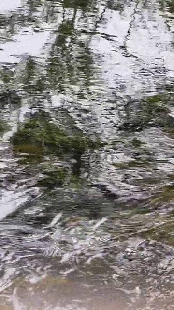 Салма - искуственная протока между Укшозером и Кончезером.