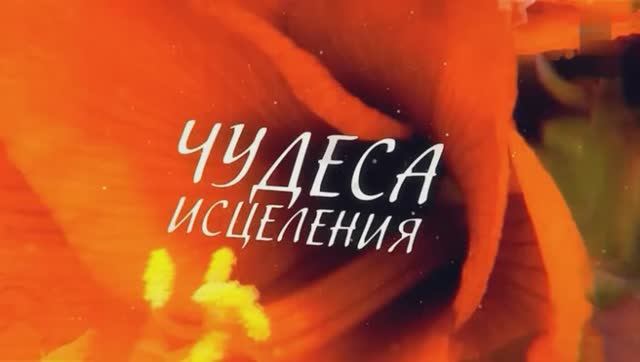 Свидетельство Светланы Мягких