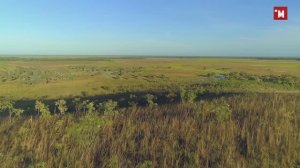 Тарантул. Творческий подход для выживания