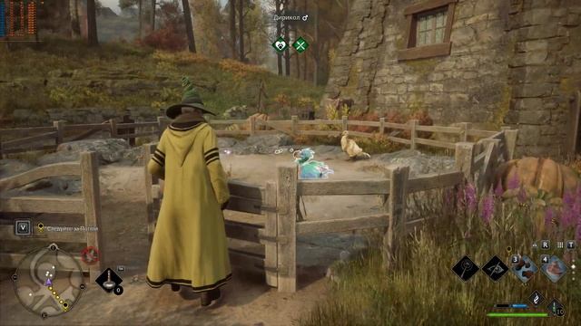 Hogwarts Legacy. Прохождение часть 12