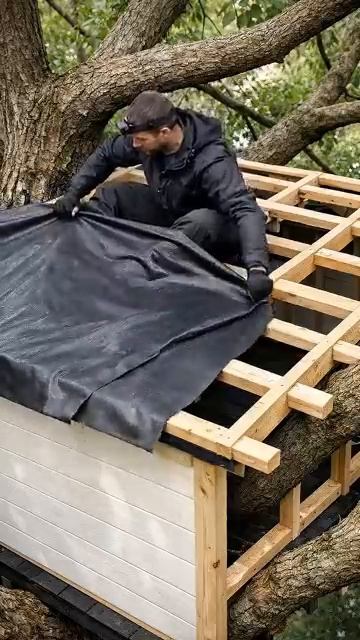 I Built a Cozy Treehouse Around a Giant River Tree survival diy asmrbuild bushcraft [get.gt]